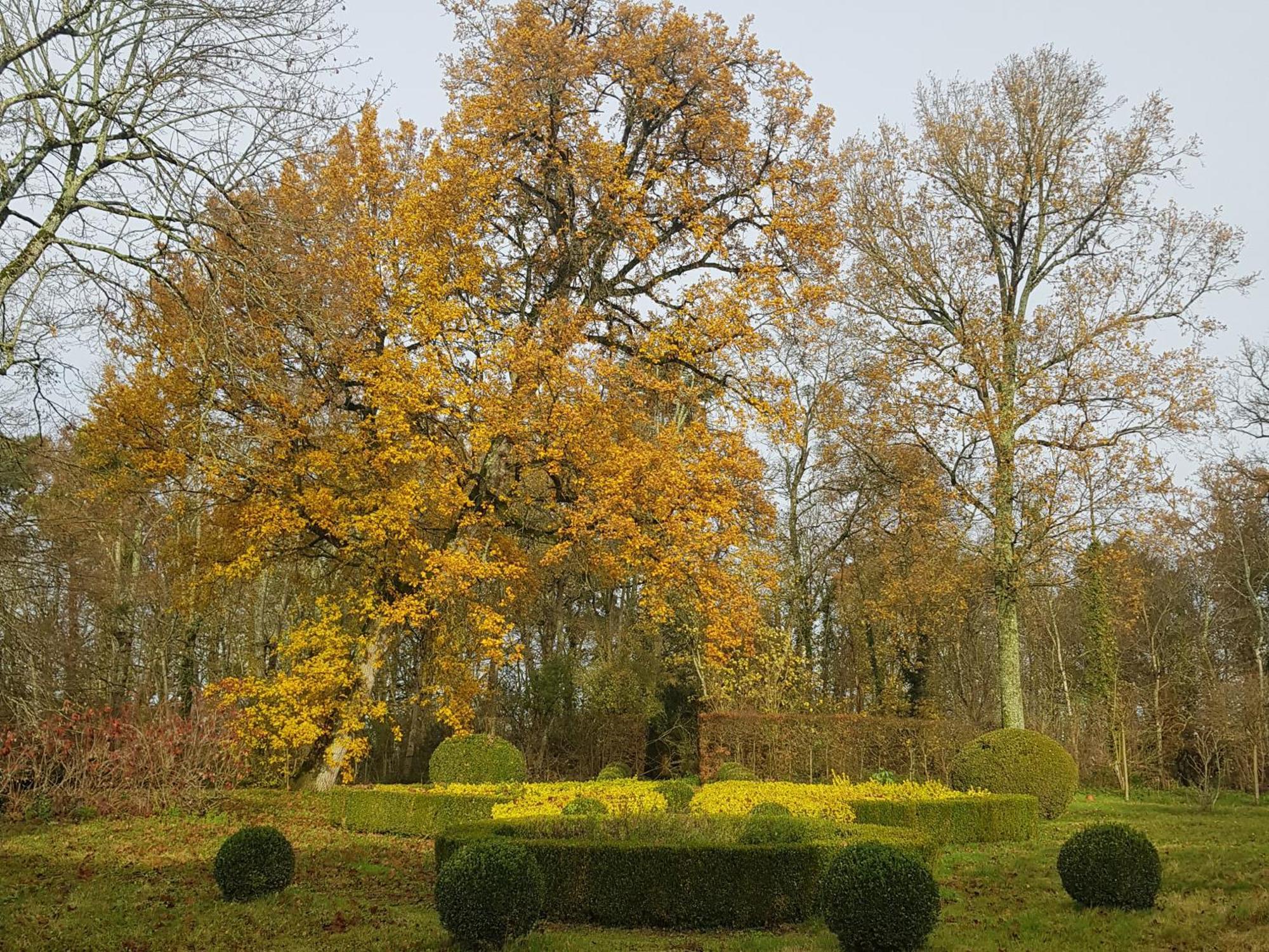 La Taille De Biou Bed & Breakfast Huisseau-sur-Cosson ภายนอก รูปภาพ